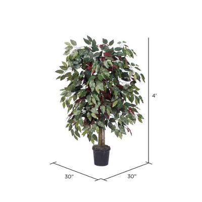 Elegant 4' Silk Capensia Floor Plant in Sleek Black Pot