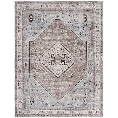 Antique Patina ANP646 Machine Made Loomed Rug - Safavieh