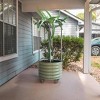 Vego Garden Self-Watering Rolling Dragon Fruit Outdoor Planter Pot with Trellis 24"x24"x60" - 2 of 3