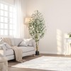 Artificial Olive Tree Tall Faux Potted Olive Plant, Fake Olive Tree  and Fruits Artificial Tree - 2 of 4