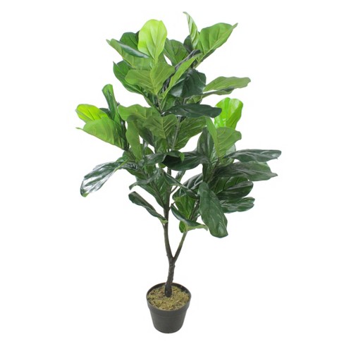 Northlight 4' Potted Two Tone Green Artificial Wide Fiddle Leaf Fig ...