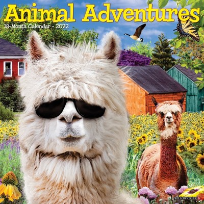 2022 Wall Calendar Animal Adventures - Willow Creek Press