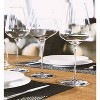 Stolzle Lausitz Set of 6 14.25oz Symphony Wine Glasses White - 3 of 4