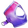 Doggie Design American River Choke Free Dog Harness Ombre Collection-Raspberry Sundae - 2 of 4