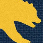 california golden bears