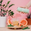 Beachball | Organic Iced Tea | Grapefruit Basil Mint | Pack of 12 - 3 of 3