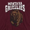Men's University Of Montana Distressed Primary Logo Pull-Over Hoodie - 2 of 4