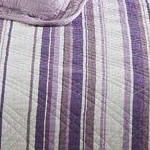 lilac stripe