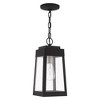 Livex Lighting Oslo 1 - Light Pendant in  Black - 2 of 4