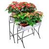22" Stylish Trestle Indoor Outdoor Steel and Iron Plant Stand Black Powder Coat Finish - Achla Designs: Galvanized Tray, No Assembly Required - 2 of 4