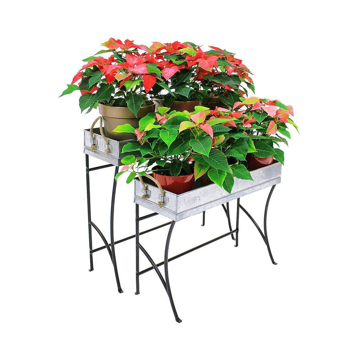 22" Stylish Trestle Indoor Outdoor Steel and Iron Plant Stand Black Powder Coat Finish - Achla Designs: Galvanized Tray, No Assembly Required - thumbnail 2