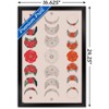 Trends International Floral Phases of the Moon Framed Wall Poster Prints - 3 of 4