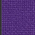 minnesota vikings
