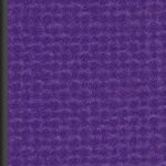 minnesota vikings