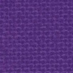 minnesota vikings