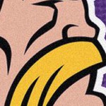 minnesota vikings