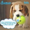 PetsWorld Economy Value (23x36 inch) Puppy Training & Potty Pads 300 Count - 4 of 4