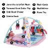 Baby Einstein 4-in-1 Kickin' Tunes Music and Language Discovery Play Gym - 2 of 4