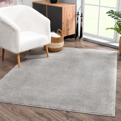 Hauteloom Judy Solid Gray Washable Shag Rug