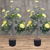 3.28 Feet Camellia Artificial Plants with Planter, Realistic Faux Floral Plant Blooming Tree with 28 Flowers Floor Plants for 100cm - 2 of 4