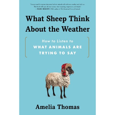What Sheep Think about the Weather - by  Amelia Thomas (Paperback)