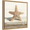 Amanti Art Driftwood Shell III by Danhui Nai Canvas Wall Art Print Framed 16 x 16-in. - 3 of 4