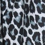 gray leopard spot