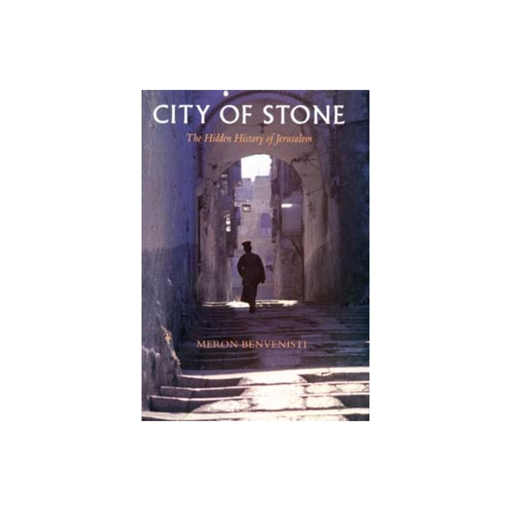 City of Stone - by Meron Benvenisti (Paperback)