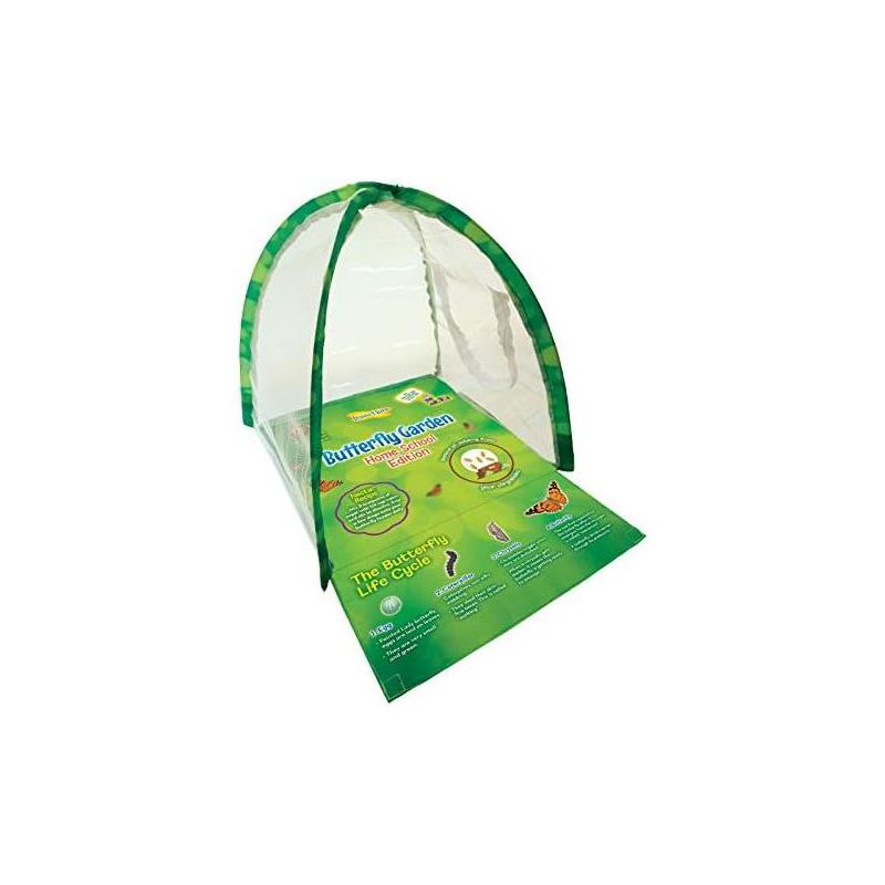 Insect Lore Butterfly Garden Home School Edition, Includes Coupon for Free Live Caterpillars, 2 of 3