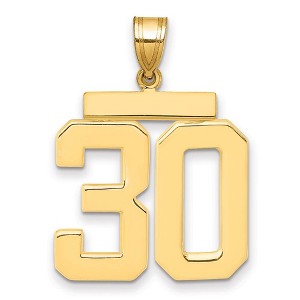 Black Bow Jewelry 14k Yellow Gold, Athletic Collection, Large Polished Number 30 Pendant - 1 of 3