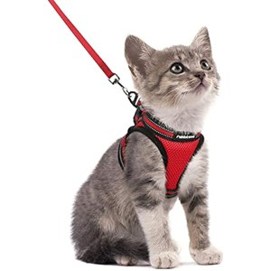 rabbitgoo Cat Harness and Leash Set for Walking Escape Proof, Adjustable Strip for Cats, Comfortable Outdoor Vest, Red, S - 1 of 1