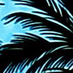 palm tree view autumn pink