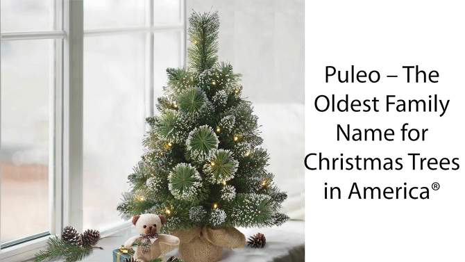 2ft Puleo Pre-Lit Tabletop Artificial Christmas Tree Gold Sac Clear Lights, 2 of 5, play video