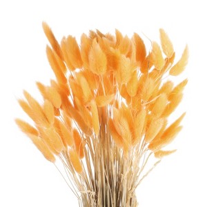 Unique Bargains Decorative Natural Dried Floral Bunny Tail Artificial Plants 120 Pcs - 1 of 4