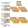 Honey Keeper Beehive Kit Fully Assembled and Painted - 10 Frame Kit, 2 Deep Brood Boxes and 2 Medium Supers - 4 of 4