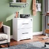 GALAXHERO  2-Drawer Wood Lateral File Cabinet with Lock for Office Home - 3 of 4