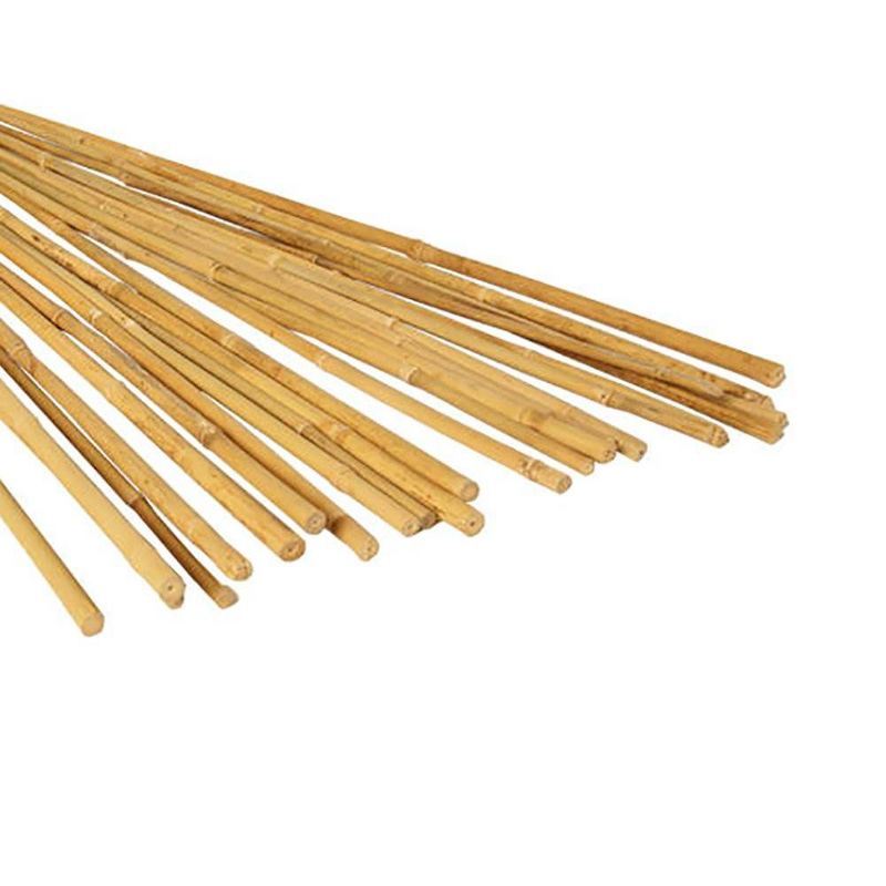Hydrofarm HGBB4 4-Foot High Strength Natural Finish Bamboo Stakes, 25 Pack, 5 of 6