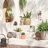 Terracotta Outdoor Planter - Threshold™ - 2 of 4
