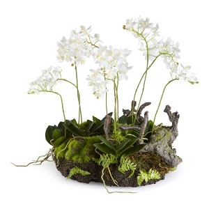 Plum & Post Mini Dendrobium Orchid Cloche Garden Drop-In 16" - 1 of 2