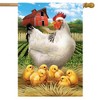Briarwood Lane House Flag 40x28 For Outdoor Family Time Summer For Summer House Flag - 2 of 4