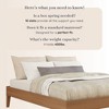 Bear Platform Bed (Full) - 4 of 4