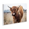 Stupell Industries Grazing Longhorn Cattle Farmland Animal Portrait Wall Plaque Art - 3 of 4