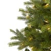 Nearly Natural Pre-Lit LED North Carolina Spruce Artificial Christmas Tree Clear Lights - 2 of 4