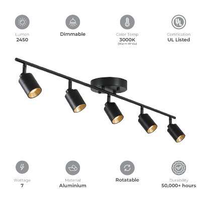 Shura Black and Gold 5-Head LED Track Light