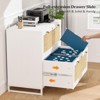 Karl Home | 29.5'' Wide 2 -Drawer Real Rattan File Cabinet - 2 of 4