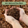 Soil Sunrise 100% Organic Orchid Potting Bark, Natural USA-Sourced Pine Bark Additive - 4 of 4