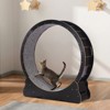 VEVOR Wooden Cat Exercise Wheel, 43.3" Large Cat Treadmill Wheel for Indoor Cats, Cat Running Wheel with Detachable Carpet & Cat Teaser, Black - 2 of 4