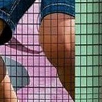 multicolored (butterfly)