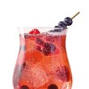 Acai Berry Bliss Syrup - 12.7 fl oz Bottle Favorite Day™ - 4 of 4