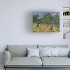 Trademark Fine Art -Vincent Van Gogh 'Olive Orchard Midjune' Canvas Art - 2 of 4